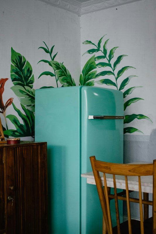 Fridge refrigerator