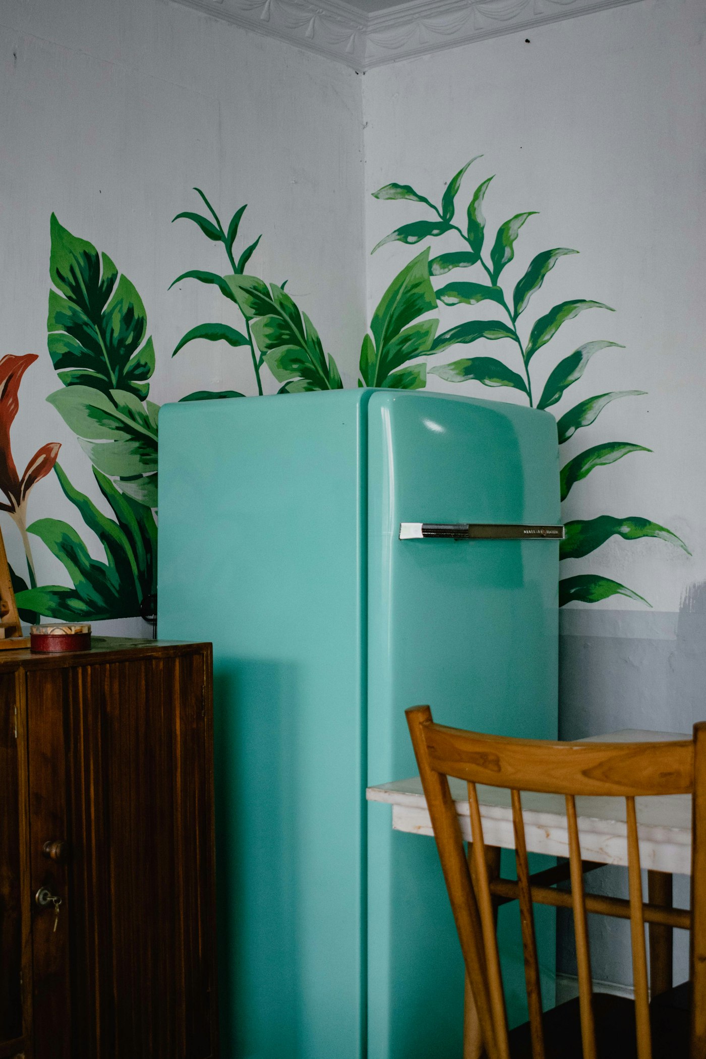 Fridge refrigerator